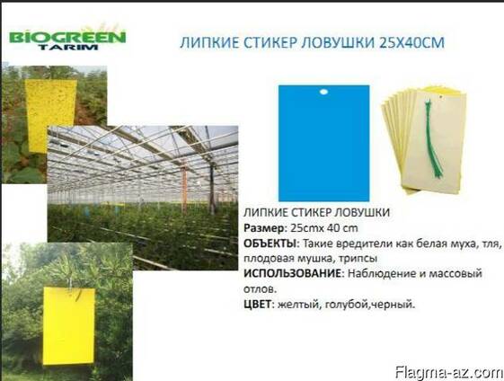 Голубые липкие ловушки 25х40см