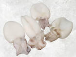 Baby cuttlefish whole frozen seafood wholesale - фото 3