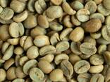 Bulk Green Coffee Beans Unroasted Arabica and Robusta for Export - photo 1