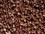 Bulk Green Coffee Beans Unroasted Arabica and Robusta for Export - photo 2