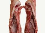 Bulk Top Quality Frozen Pork Meat / Frozen Pork - photo 2