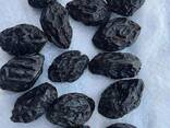 Prunes from Uzbekistan - фото 10