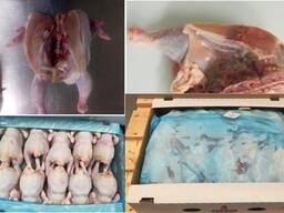 Chicken Grillers