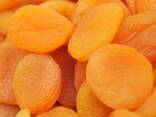 Dried apricots from Usbekistan - фото 1