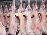 Export of meat - фото 1