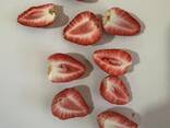 Freeze dried fruits wholesale - фото 14
