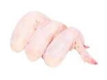 Frozen Chicken Joint Wings Wholesale Frozen - фото 1