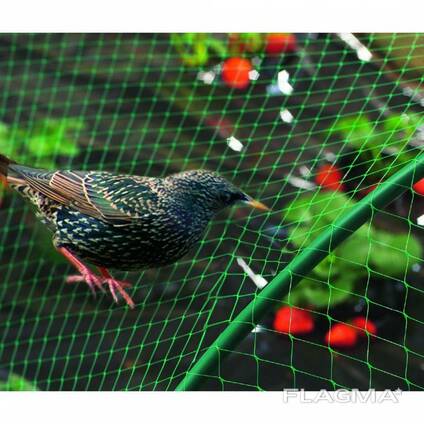 Garden nets, antibird