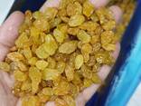 Изюм желтый - фото 3