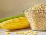 Кукурузный Зародыш - photo 1