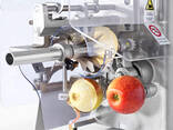 Машина для очистки, нарезания, удаления сердцевины из яблок 70-100 кг/час
