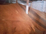 Milling wheat 3rd class, origin Republic of Kazakhstan, crop 2021 - photo 1