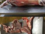 Мясо Баранина Говядина на Европу и ОАЙ Эмираты - фото 2