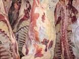 Мясо Баранина Говядина на Европу и ОАЙ Эмираты - фото 8