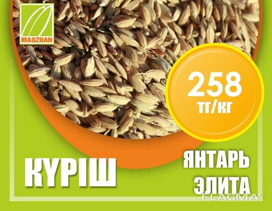 Оптом семена рис, люцерны и пшеницы