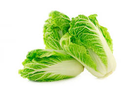 Beijing cabbage from Uzbekistan