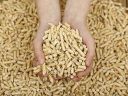 Pellet