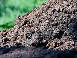 Перегной Вид: навоз конский гранулированный