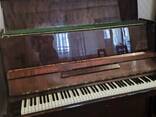 Pianino "Terek" - photo 5