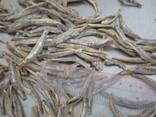 Поставки сушеной рыбы в Азербайджан из Вьетнама от производителя. - photo 2