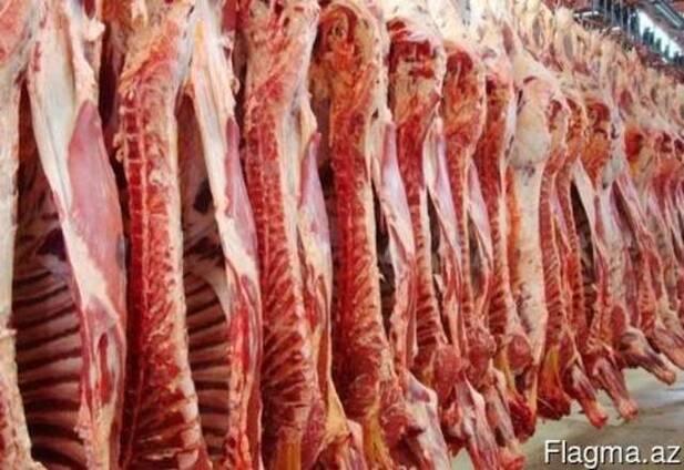 Предлагаем поставку мяса говядины и свинины Продукция из Укр