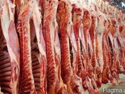 Предлагаем поставку мяса говядины и свинины Продукция из Укр