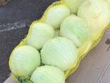 Продаем капусту из Узбекистана - фото 8
