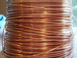 Проволока бронзовая 0,06—12 мм, марки БрОЦ4—3; БрБ2; БрХ0.7