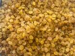 Raisins Golden Kalifar - фото 3