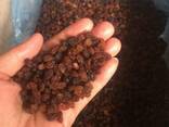 Raisins Sultana Abdjush (brown, confectionery) - фото 1