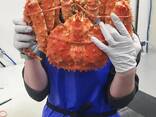 Red King Crab - фото 1