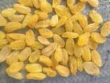 Сухофрукты и орехи из Узбекистана - photo 5