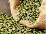 Arabica Coffee Beans Italian Medium Roasted Yunnan Small Grain Coffee - photo 3