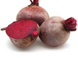 Beetroot from Uzbekistan - photo 1