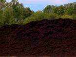 Торф - photo 2