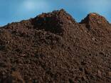 Торф - photo 3