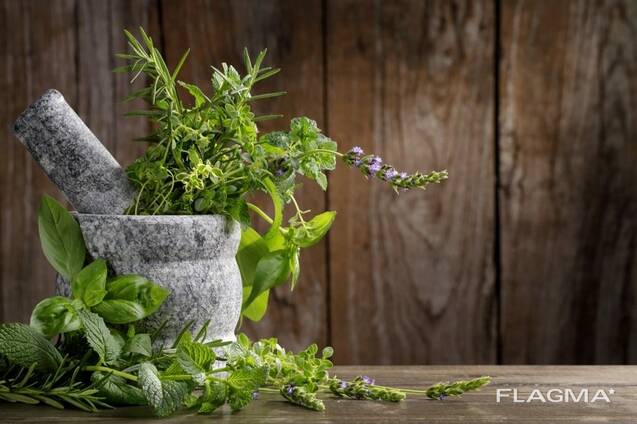 Medicinal herb