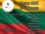 Ищем партнёров для трудоустройства в Европе ! - фото 3