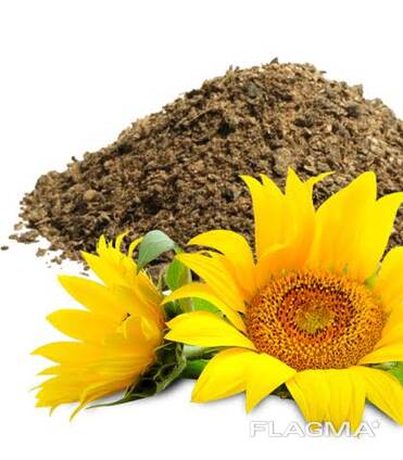 Ungranulated Sunflower meal
