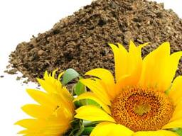 Ungranulated Sunflower meal