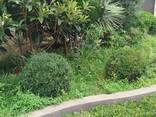 Villa - photo 1