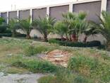 Villa - photo 12
