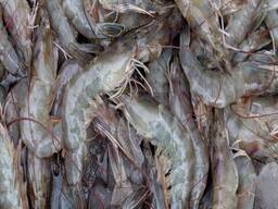Wholesale Premium Seafood Prawns Frozen Vannamei Shrimp