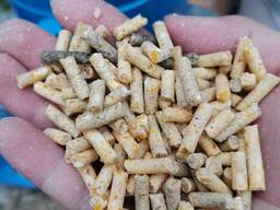 Wholesale Wheat Bran Pellets – Direct from Farm &amp; Factory