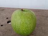 Яблоки из Кавказа - photo 6