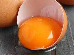 Яйцо куриное С0, С1, С2, С3