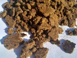 Жмых хлопковый